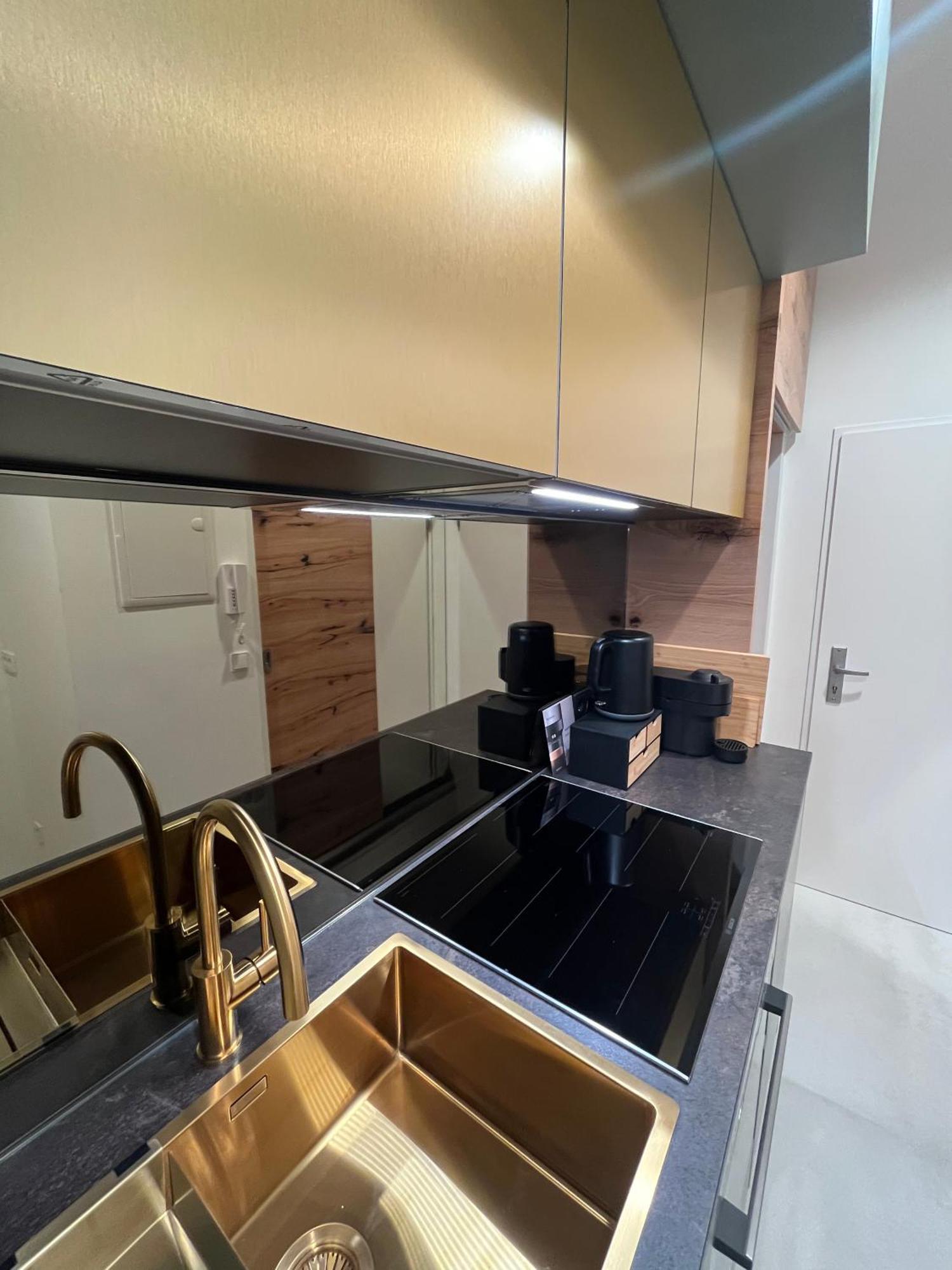 Luxurious One Room Apartment Near Schoenbrunn Palace ウィーン エクステリア 写真