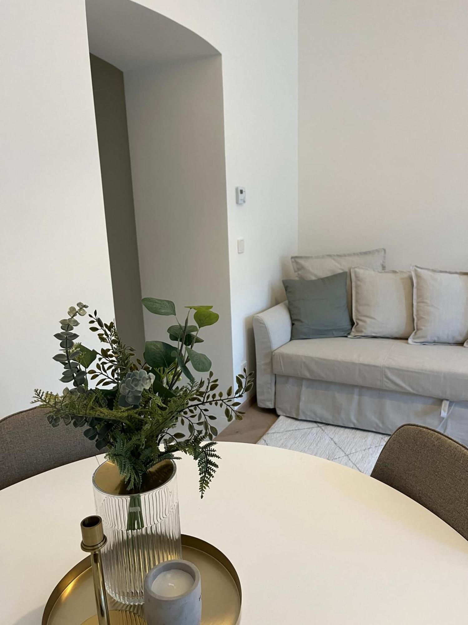 Luxurious One Room Apartment Near Schoenbrunn Palace ウィーン エクステリア 写真